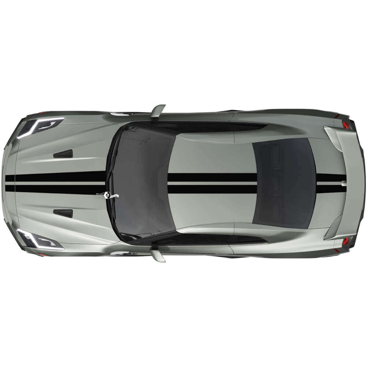 Kit de Calcomanías de Doble Raya para Todo el Cuerpo 2 para Nissan GT-R