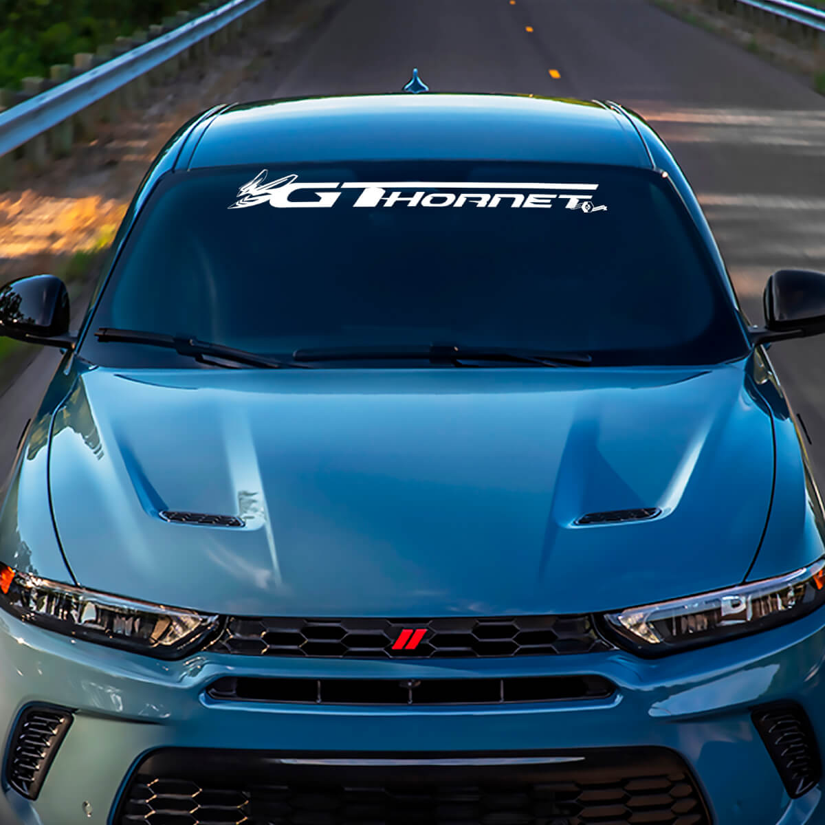 Calcomanía de calcomanía de parpadeo gráficos de vinilo para esquivar GT Hornet
