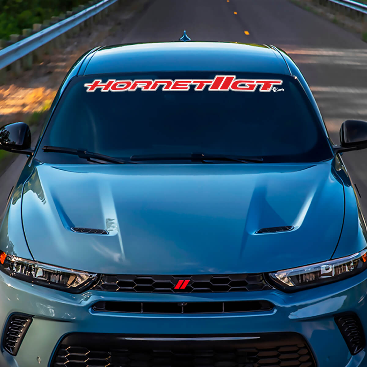 Calcomanía de calcomanía de parpadeo gráficos de vinilo para esquivar GT Hornet hash esquema
