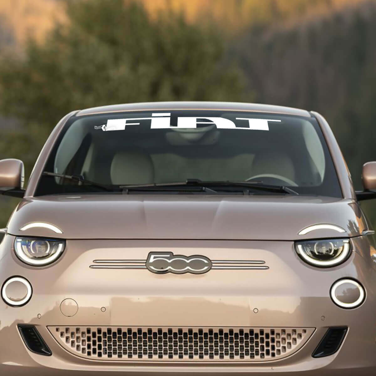 Gráficos de calcomanías para el parabrisas delantero de Fiat 500