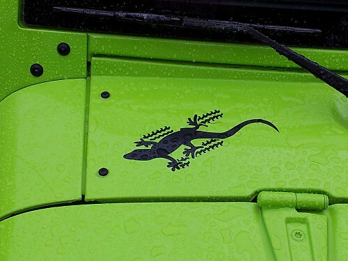 Juego de vinilos laterales Gecko para Jeep Wrangler