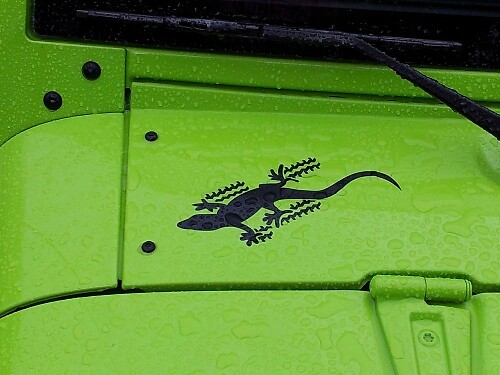 Juego de adhesivos de vinilo Gecko para Jeep Wrangler