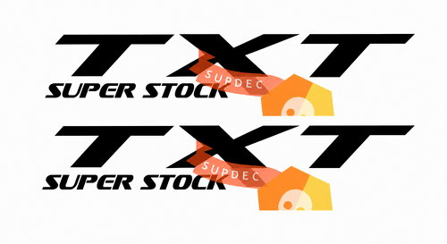 TXT Super Stock Lettering — Pegatina de vinilo (lateral) para Dodge Charger SRT