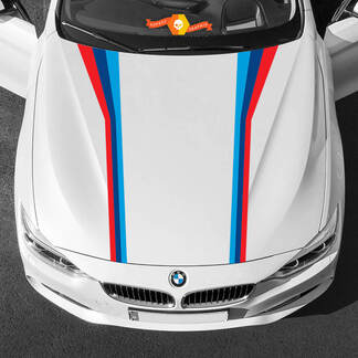 Par de franjas de capó de colores M para BMW de cualquier generación y modelo.
