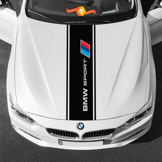Calcomanías de vinilo Pegatinas gráficas capó bmw en paleta deportiva BMW central
