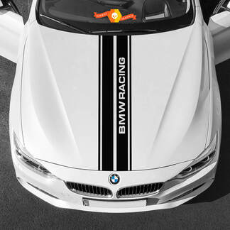 Vinilos Adhesivos Gráficos BMW capó central BMW Racing 2022

