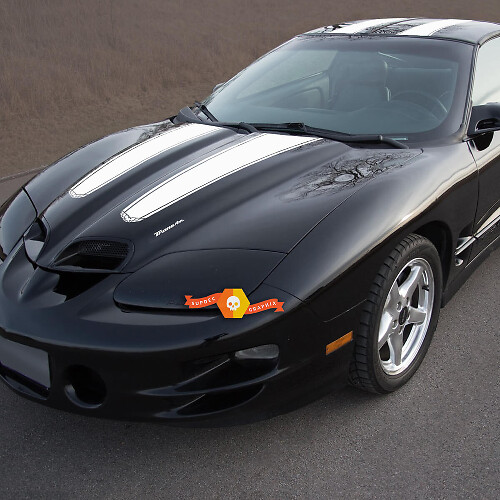 Kit de Vinilo de Rayas Dobles para Capó, Techo y Portón para Pontiac Firebird Trans Am