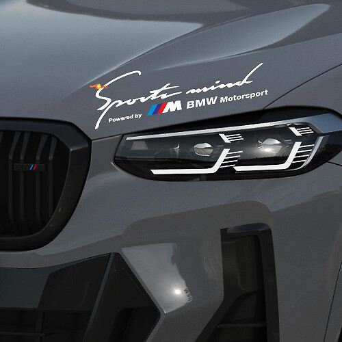 2 Pegatinas de calcomanía de M BMW Motorsport M3 M5 M6 E36 Power Mind Sports
