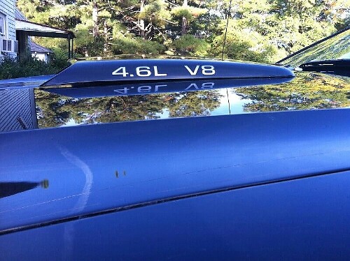 Juego de adhesivos para toma de aire en capó V8 4.6L para Musclecar Musclecarmodel