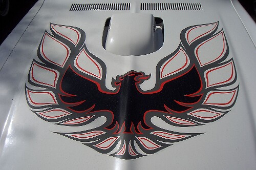 Adhesivo de vinilo de capó de pájaro para Pontiac Firebird Trans Am