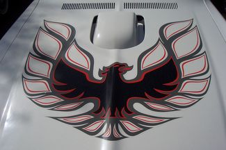 Pontiac Firebird Trans Am Bird Hood Decal Sticker 3 cualquier color laminado