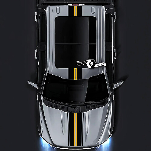 Ford F-150 XL XLT STX LARIAT Hood Techo Puerta trasera Trim Gráficos Calcomanías laterales Pegatinas 2 colores
