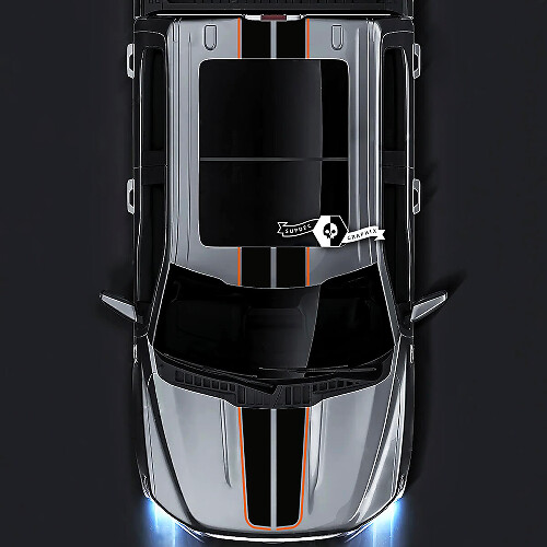 Ford F-150 XL XLT STX LARIAT Hood Techo Puerta trasera Trim Gráficos Calcomanías laterales Pegatinas 2 colores
