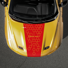 Pegatina de vinilo personalizada con texto en diseño panal para capó de Dodge Hornet_2