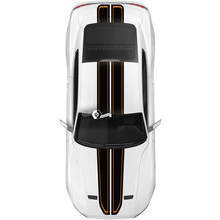 Ford Mustang Mach Hood techo puerta trasera calcomanía coche vinilo pegatina Shelby Sport Racing Stripes 2 colores
 3