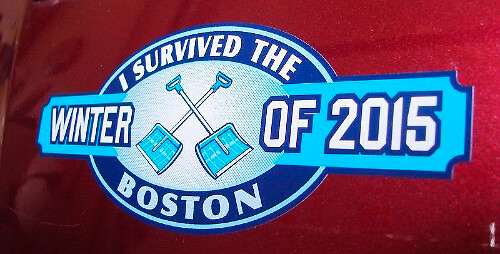 Boston Blizzard I Sobreviví El Invierno Insignia Emblema Pegatina Vinilo 2 para Jeep ATV Camión
