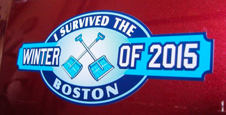 Par JEEP Boston Blizzard Emblema 