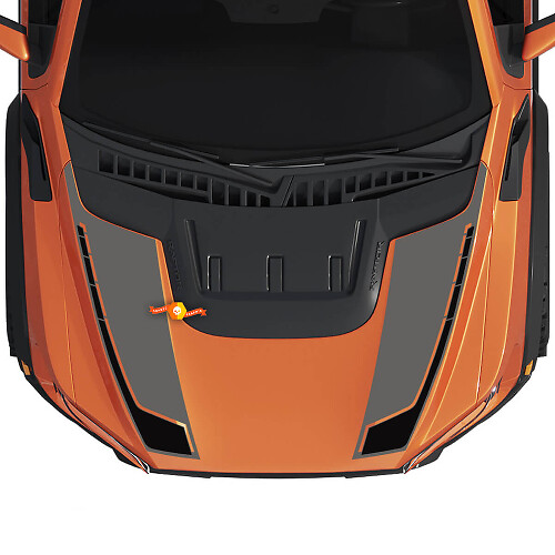 Gráficos de capó Dos colores se ajustan al kit de calcomanías de vinilo Gen3 Ford F150 Raptor a rayas
