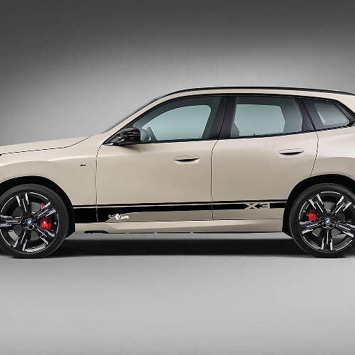 Etiqueta engomada del vinilo del logotipo de las rayas de las puertas laterales BMW X3 G01 F25
