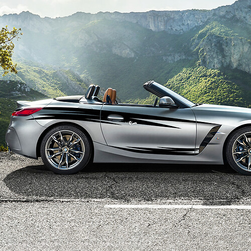 Calcomanía de vinilo con rayas tribales para puerta con detalles laterales compatible con BMW Z4
