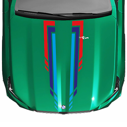 Calcomanía de capó a cuadros L Stripes Racing para BMW Serie 5 G60 M5 G90
