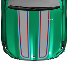 Calcomanía de capó con bandera a cuadros Stripes Racing M colores para BMW Serie 5 G60 M5 G90
 3