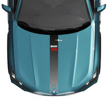 BMW X5 G05 Hood Central Degradado Raya Calcomanía Vinilo Etiqueta 2
 2