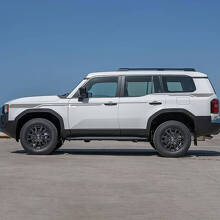 Calcomanías de franjas decorativas para puertas laterales Vinilo adhesivo gráfico 2 para Toyota Land Cruiser 3