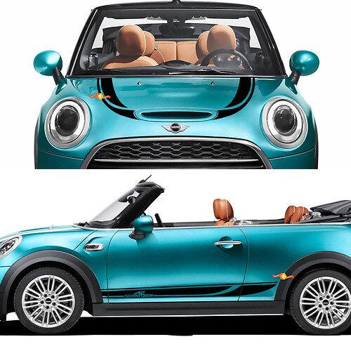Mini John Cooper Works AC Schnitzer capucha y puertas laterales Decal de rayas de rayas y pegatinas gráficas 2
