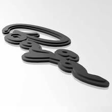 SHELBY BAJA RAPTOR 3D BACE - Emblema de guardabarros personalizado para Ford Raptor
 2