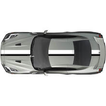 Kit de calcomanías de rayas de carreras de cuerpo completo para Nissan GT-R
 2