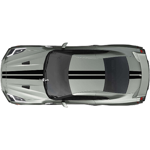 Kit de Calcomanías de Doble Raya para Todo el Cuerpo 2 para Nissan GT-R