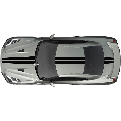 Kit de calcomanías de rayas dobles para Nissan GT-R de cuerpo completo de un solo color
