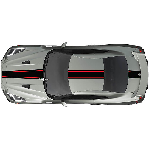 Kit de calcomanías de rayas de carreras de cuerpo completo para Nissan GT-R 2
