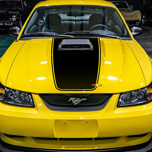 Ford Mustang Mach 1 COMPACIÓN CARCELA CAR STACKER DE VINILO
