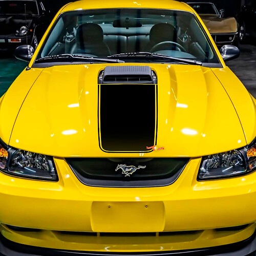 Ford Mustang Mach 1 COMBAJE CARCELA CAR STACKER DE VINILO 2
