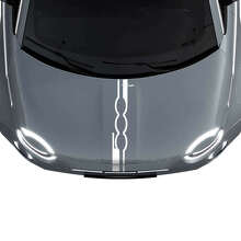 500 Calcomanías de Rayas para Capó para Fiat 500
 2