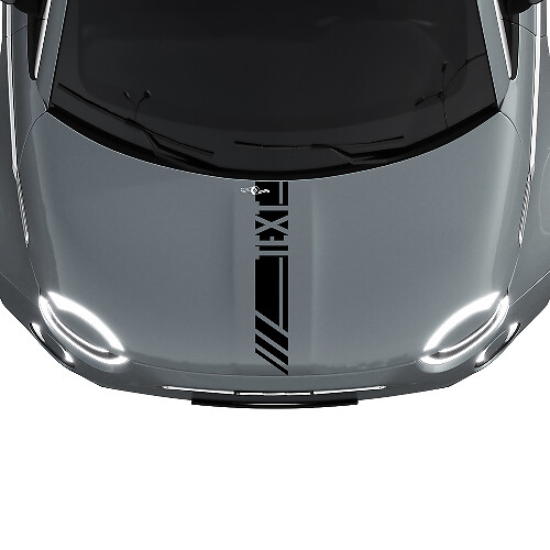 Calcomanía adhesiva con franjas de carreras personalizadas para capó para Fiat 500