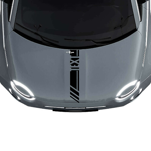 Calcomanía adhesiva con franjas de carreras personalizadas para capó para Fiat 500