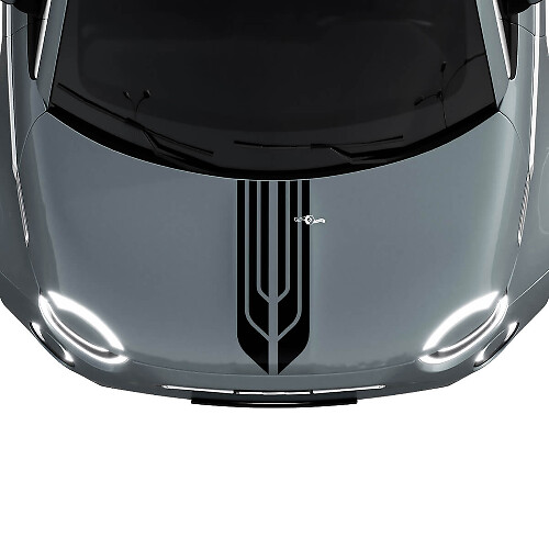 500 Calcomanías de Rayas Centrales Dobles para Capó para Fiat 500
