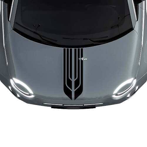 500 Calcomanías de Rayas Centrales Dobles para Capó para Fiat 500
