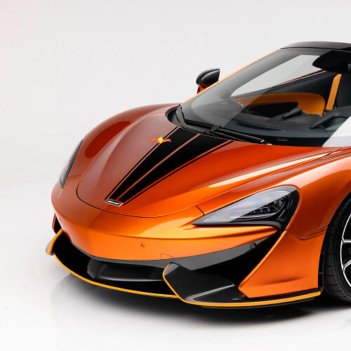 Franja central del capó para McLaren 570S Vinilo Adhesivo Gráfico
