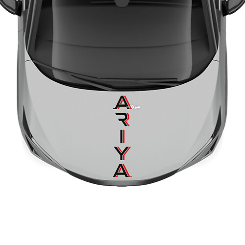 Calcomanía de gráficos de carreras de franjas de dos colores para el capó de Nissan ARIYA
 1