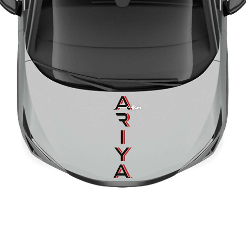 Calcomanía de gráficos de carreras de franjas de dos colores para el capó de Nissan ARIYA
