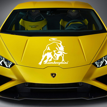 Gráficos de vinilo de carreras para el guardabarros trasero lateral para Lamborghini Huracan Evo
 2