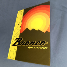 Panel de Arte de Pared de Garaje de Acrílico Brillante Heritage Bronco Wildtrak 3