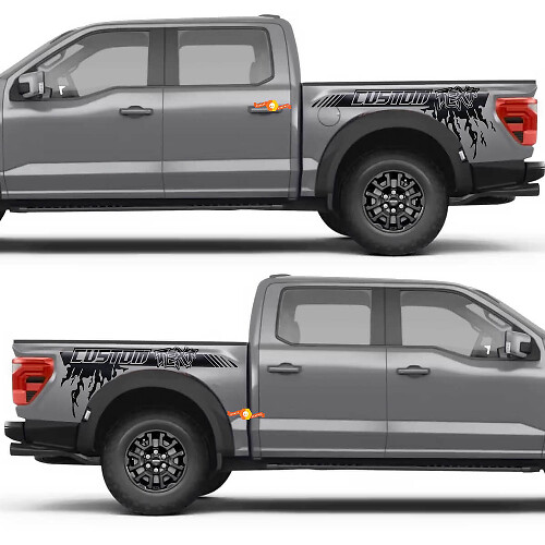 Side Stripe Rear Fender Splash Vinyl Decal Sticker for Ford F-150 1