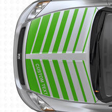 Juego de pegatinas de vinilo de rayas dobles estroboscópicas personalizadas para capó Dodge Caliber 2007+_3