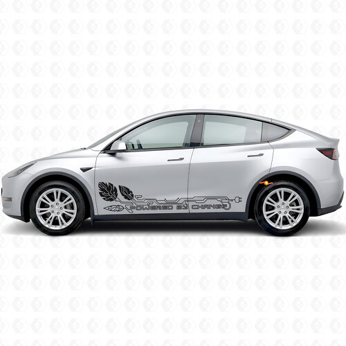 Adhesivo vinílico para puerta de lado impulsado para Tesla Model Y