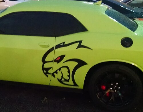 Kit de vinilo lateral estilo Hallcat para Dodge Challenger